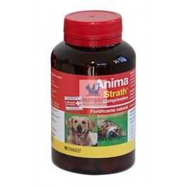 ANIMA STRAT 240