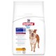 Hills Canine Senior Pollo pienso para perros