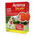 ANIMA STRATH LIQUIDO 100 ml + PELOTA REGALO Complemento Vitamínico Mineral