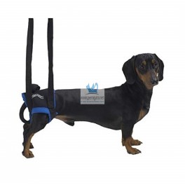 ARNÉS ELEVADOR WALKABOUT PATAS TRASERAS XS Rehabilitacion de Perros