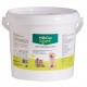 MILKCAN LECHE POLVO STANVET 2 Kg Leche en polvo para Perros y Gatos
