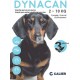 DYNACAN PERRO 3 PIPETAS Antiparasitario Pipetas para Perros