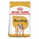 Royal Canin Bulldog Adult 12 Kg Pienso para Perros