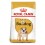 Royal Canin Bulldog Adult 12 Kg Pienso para Perros