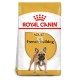 Royal Canin Bulldog Francés Adult  9 Kg Pienso para Perros