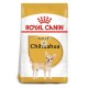 Royal Canin Chihuahua Adult 3 Kg Pienso para Perros