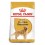 Royal Canin Golden Retriever Adult 12 Kg Pienso para Perros