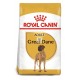 Royal Canin Great Dane Adult 12 kg pienso para perros