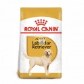Royal Canin Labrador Retriever Adult 12 kg Pienso para Perros