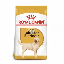 Royal Canin Labrador Retriever Adult 12 kg Pienso para Perros