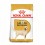 Royal Canin Labrador Retriever Adult 12 kg Pienso para Perros
