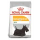 Royal Canin Mini Dermacomfort 8 Kg Pienso para Perros