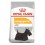 Royal Canin Mini Dermacomfort 8 Kg Pienso para Perros