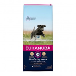 EUKANUBA PUPPY JUNIOR DEVELOPING R/GRANDES 15 Kg Pienso para Perros