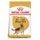 Royal Canin Pastor Aleman Adult 12 kg Pienso para Perros
