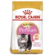 Royal Canin Persian Kitten 10 kg comida para gatos
