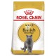 Royal Canin British Shorthair 10 kg comida para gatos