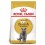 Royal Canin British Shorthair 10 kg comida para gatos