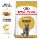 Royal Canin British Shorthair 10 kg comida para gatos