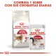 Royal Canin Feline Fit 32 10 Kg Comida para Gatos