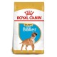 Royal Canin Boxer Puppy 12 kg Pienso para Perros