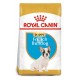 Royal Canin Bulldog Francés Puppy 10 kg Pienso para Perros