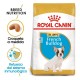 Royal Canin Bulldog Francés Puppy 10 kg Pienso para Perros