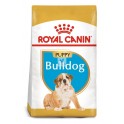 Royal Canin Bulldog Puppy 12 kg Pienso para Perros