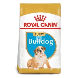 Royal Canin Bulldog Puppy 12 kg Pienso para Perros