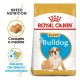 Royal Canin Bulldog Puppy 12 kg Pienso para Perros