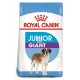 Royal Canin Giant Junior 15 Kg Pienso para Perros