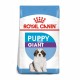 Royal Canin Giant Puppy 15 kg pienso para perros