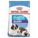 Royal Canin Giant Starter 15 Kg Cachorros y Madres Lactantes Pienso para Perros