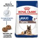 Royal Canin Maxi Ageing (8+) 15 kg pienso para perros