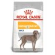 Royal Canin Maxi Dermacomfort 10 kg pienso para perros