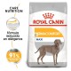 Royal Canin Maxi Dermacomfort 10 kg pienso para perros
