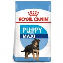 Royal Canin Maxi Puppy 15 Kg Pienso para perros