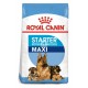 Royal Canin Maxi Starter 15 Kg Cachorros y Madres Pienso para Perros