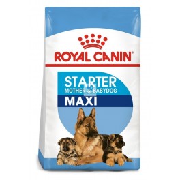 Royal Canin Maxi Starter 15 Kg Cachorros y Madres Pienso para Perros