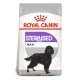 Royal Canin Maxi Sterilised 9 kg pienso para perros