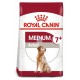 Royal Canin Medium Adult (7+) 15 Kg Pienso para Perros