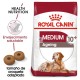 Royal Canin Medium Ageing (10+) 15 kg pienso para perros