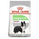 Royal Canin Medium Digestive Care 10 kg pienso para perros
