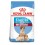 Royal Canin Medium Starter 12 Kg Cachorros y Madres lactantes 12 Kg pienso para perros