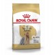 Royal Canin Yorkshire Terrier Adult 7.5 Kg Pienso para Perros