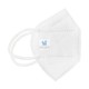MASCARILLA FFP2 BLANCA