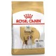 Royal Canin Beagle Adult 12 kg pienso para perros