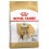 Royal Canin Beagle Adult 12 kg pienso para perros