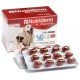 NUTRIDERM 60 Capsulas Complemento Dermatológico para Perros y Gatos