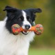 JUGUETE BARBELL de Recuperación Juguetes para Perros